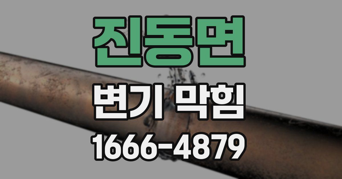 진동면 변기 막힘