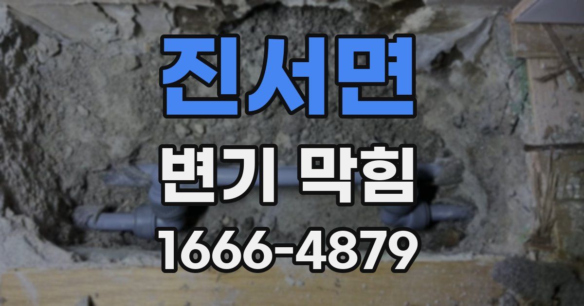진서면 변기 막힘