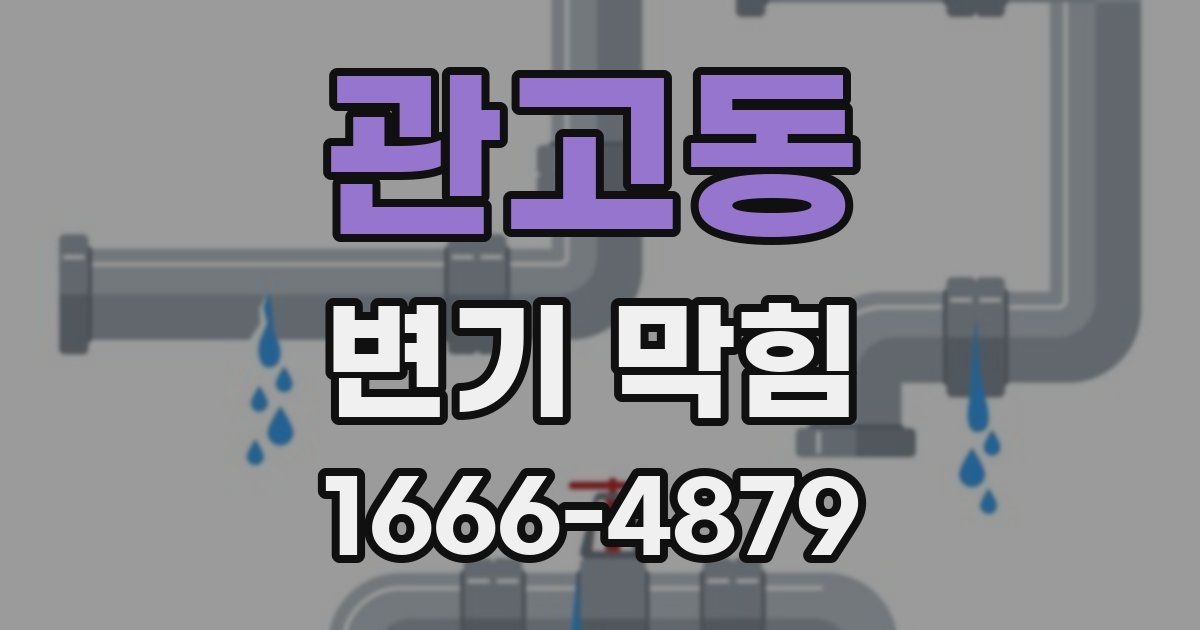 관고동 변기 막힘