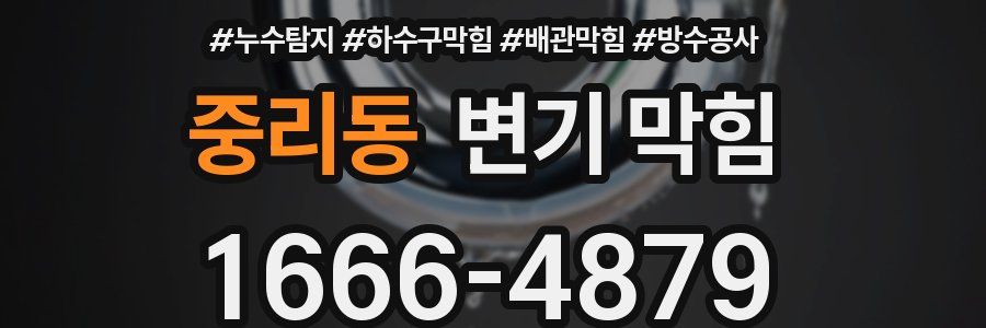 중리동 변기 막힘