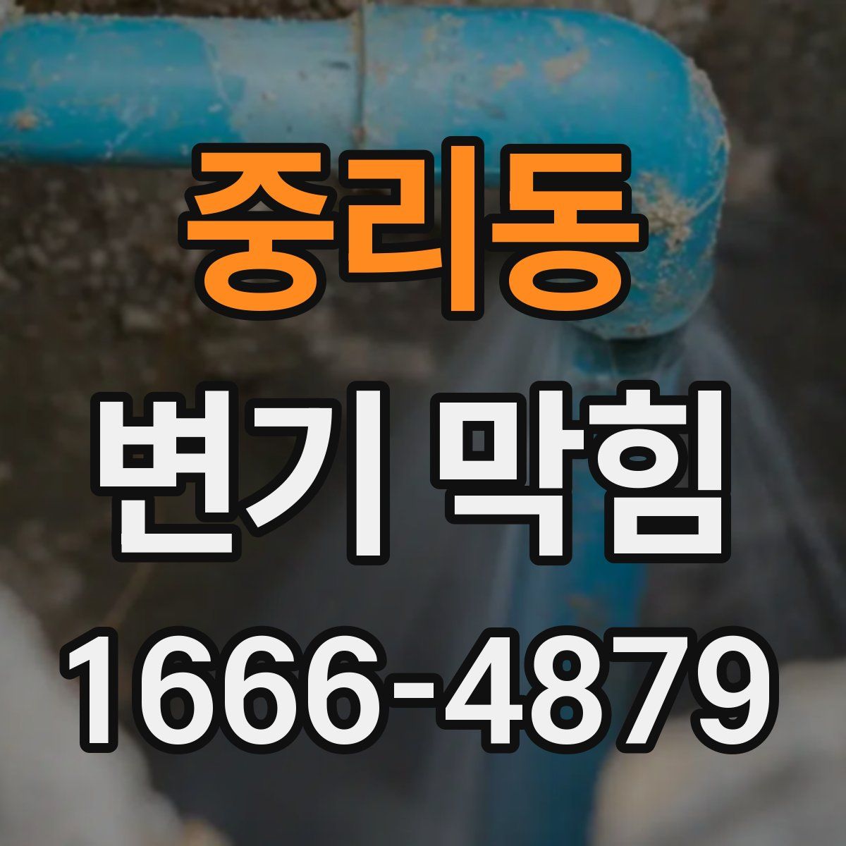 중리동 변기 막힘