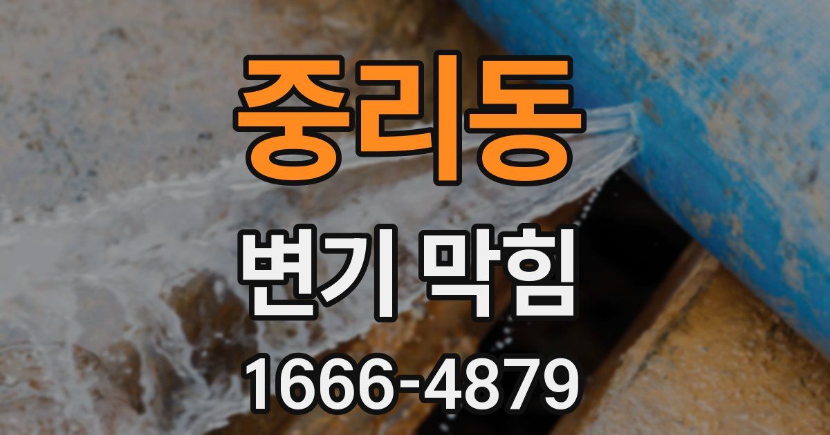 중리동 변기 막힘