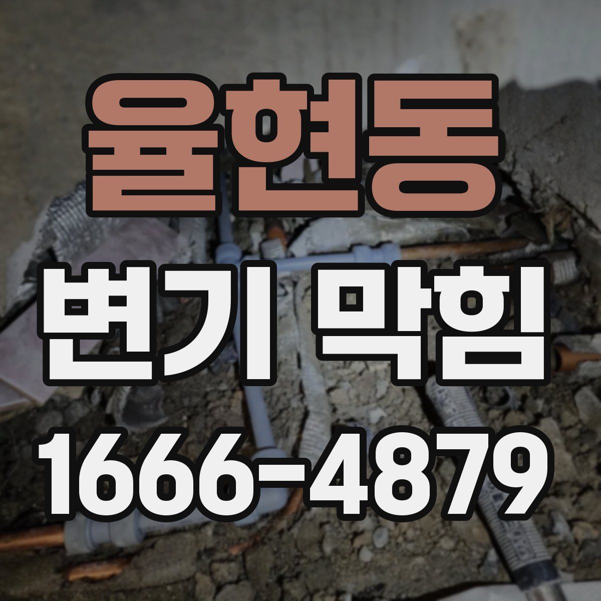 율현동 변기 막힘