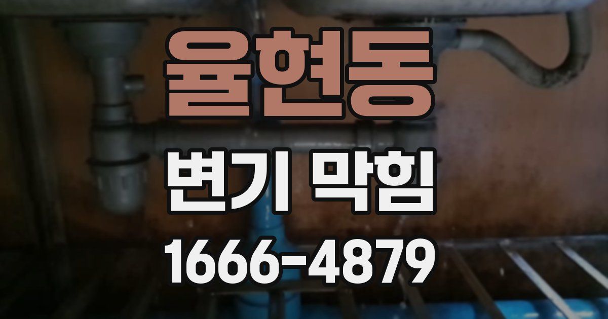 율현동 변기 막힘
