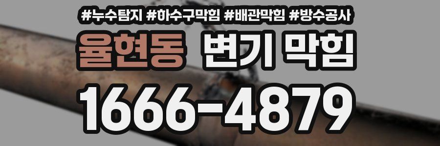 율현동 변기 막힘
