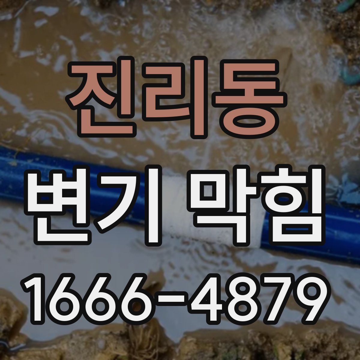 진리동 변기 막힘