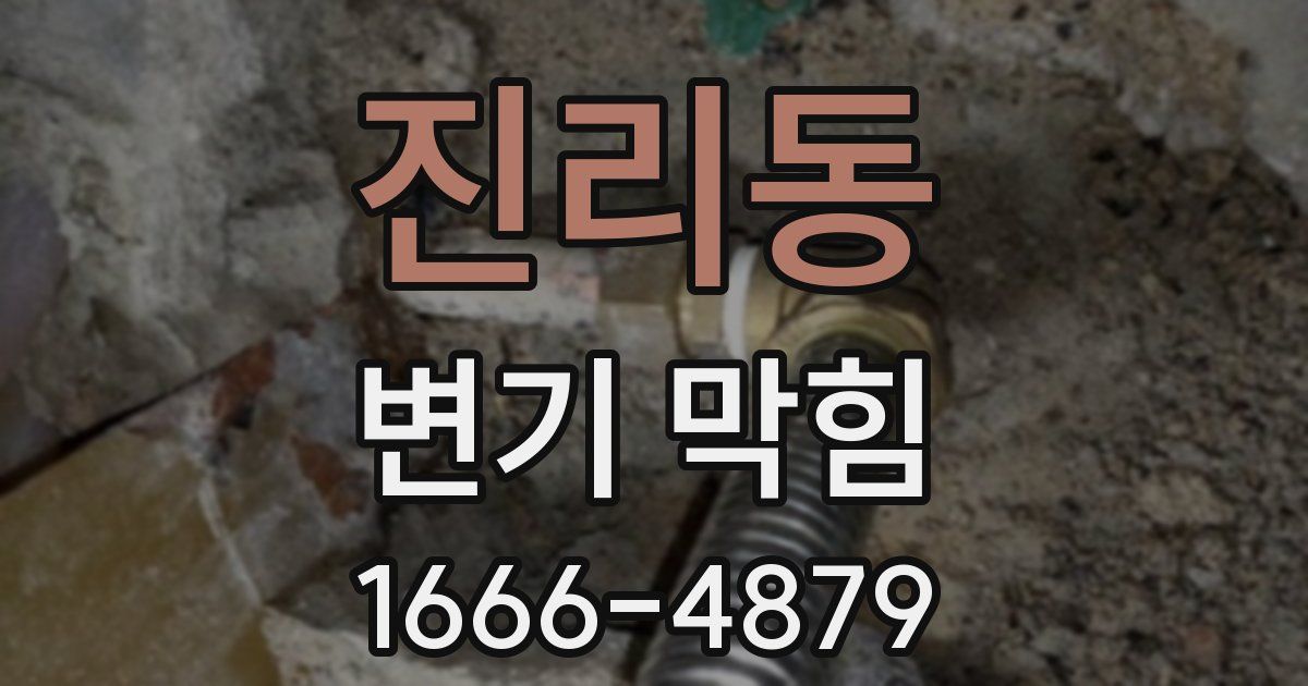 진리동 변기 막힘