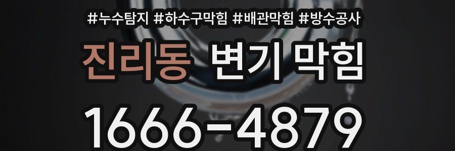 진리동 변기 막힘