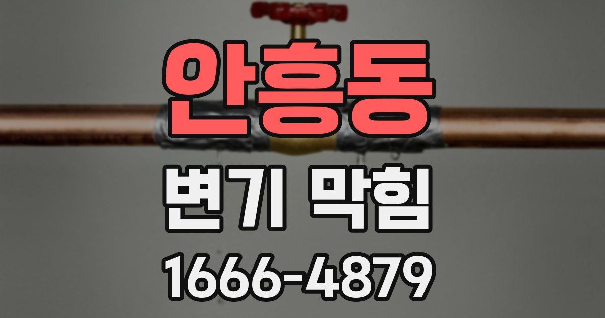 안흥동 변기 막힘