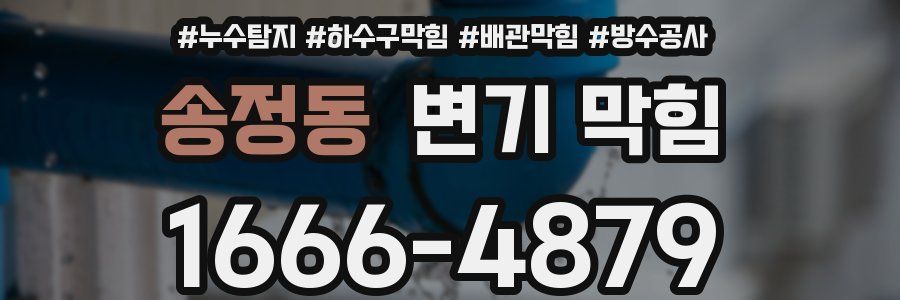 송정동 변기 막힘