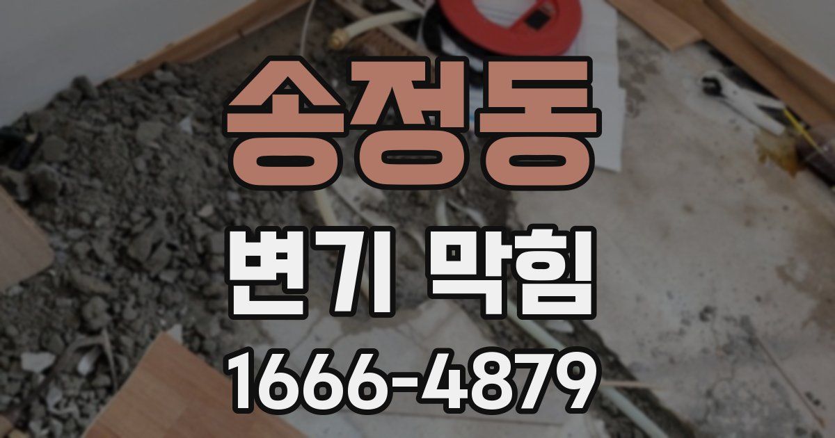 송정동 변기 막힘