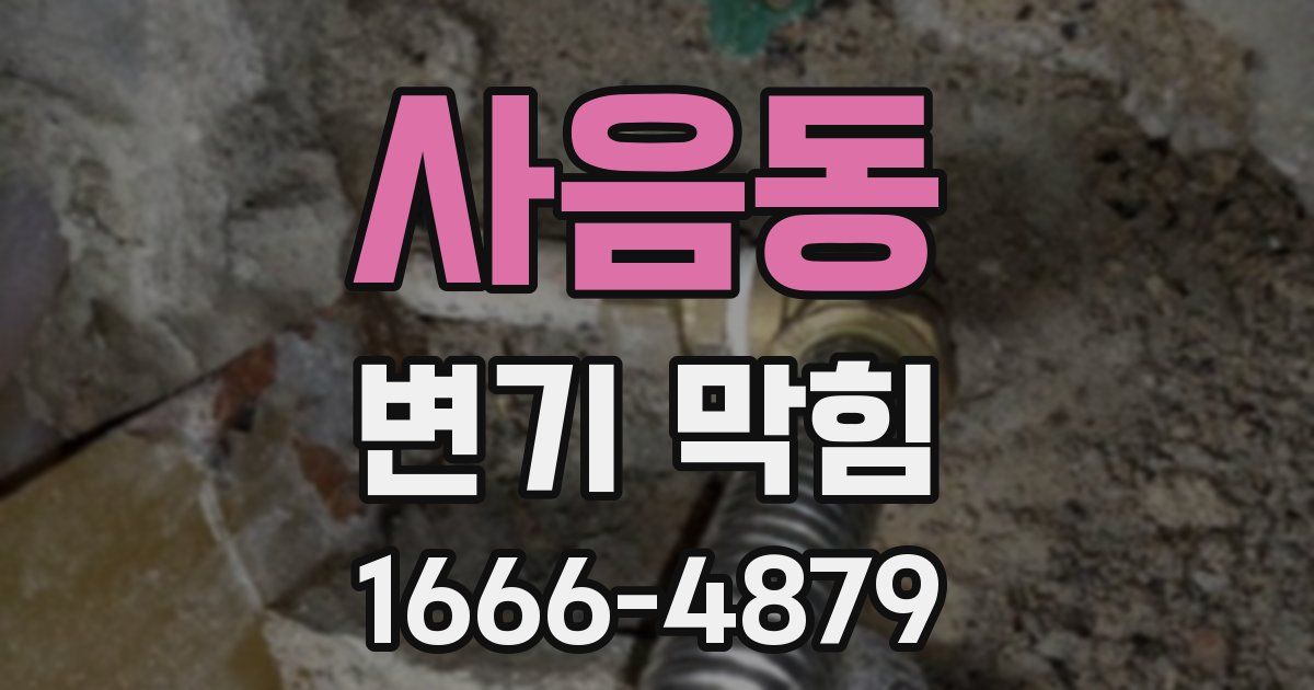 사음동 변기 막힘