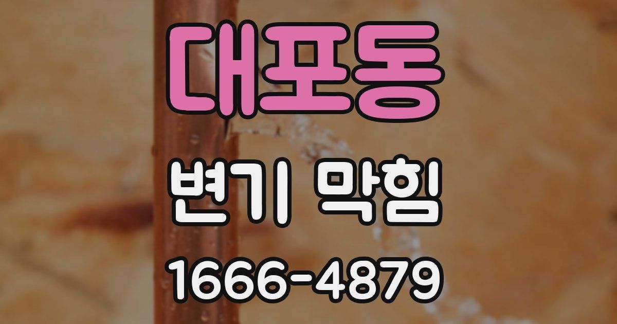대포동 변기 막힘