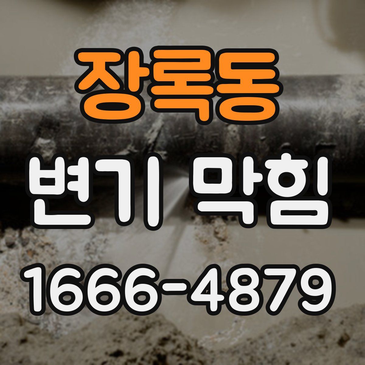 장록동 변기 막힘