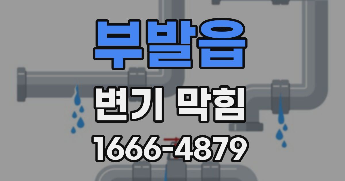 부발읍 변기 막힘