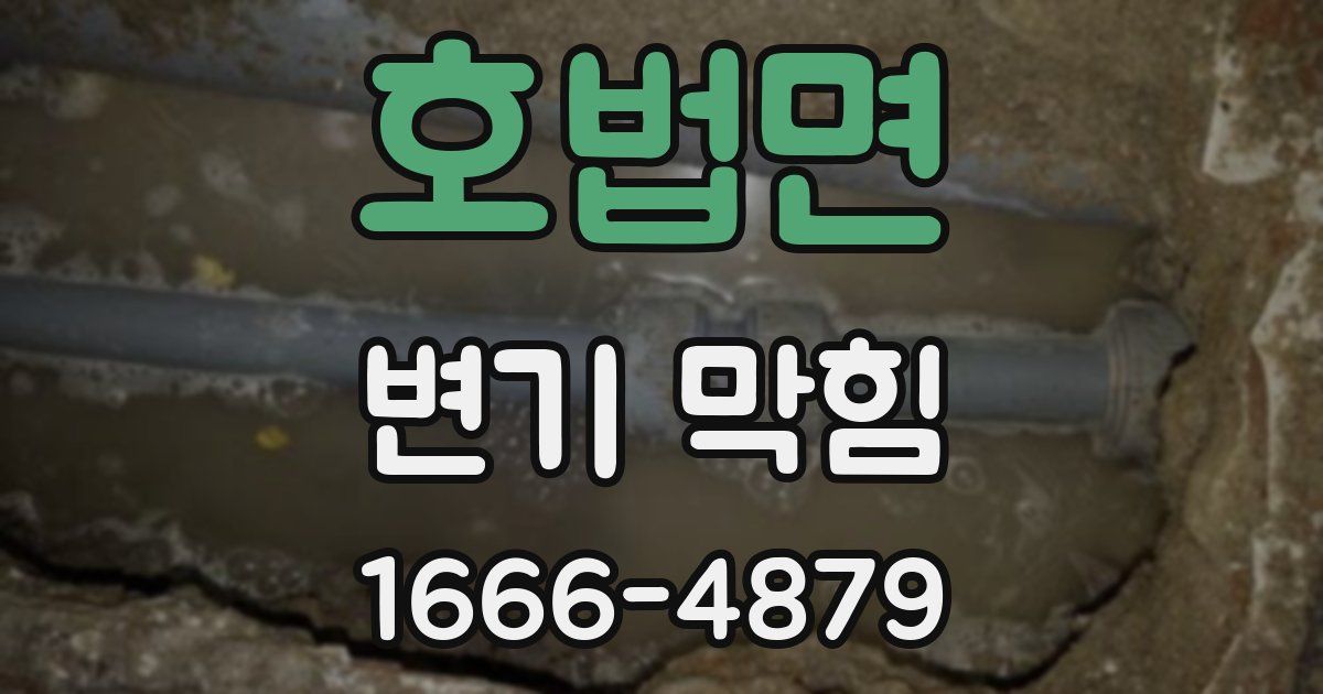 호법면 변기 막힘