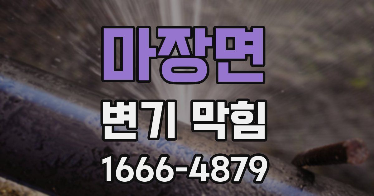 마장면 변기 막힘