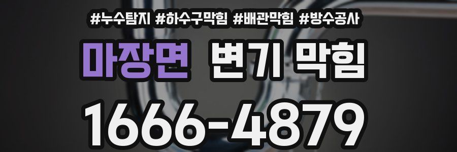 마장면 변기 막힘