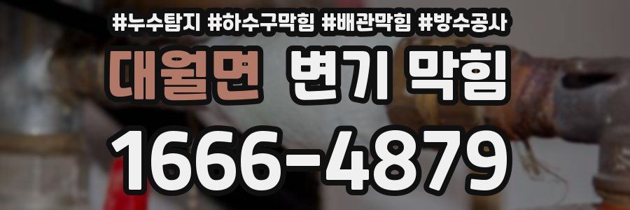 대월면 변기 막힘