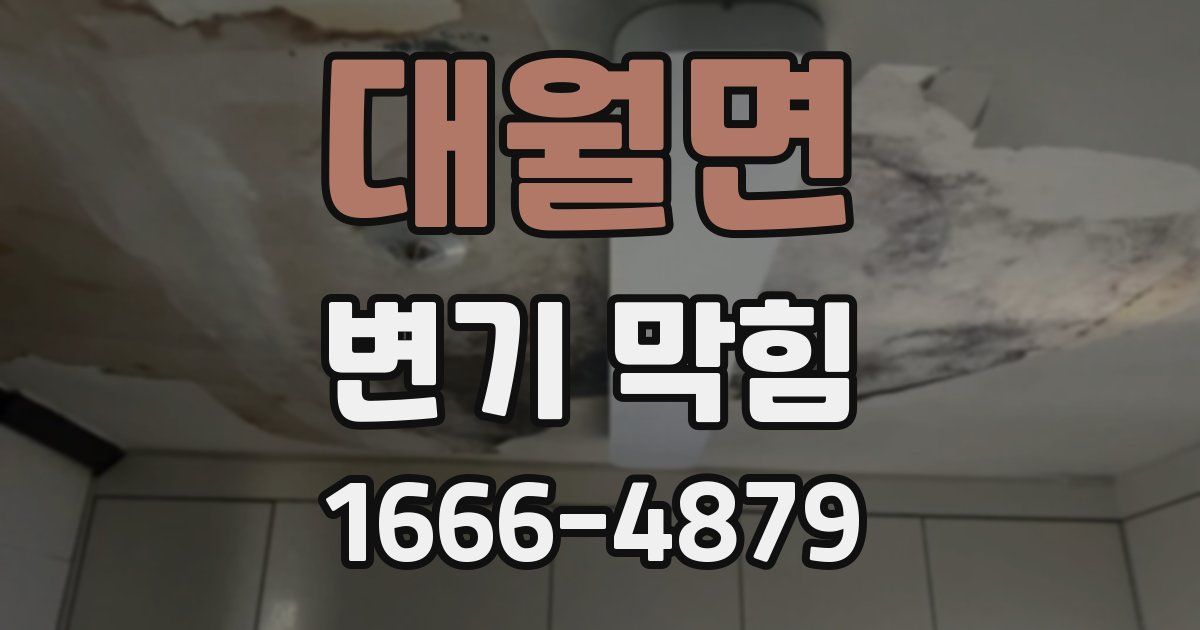 대월면 변기 막힘