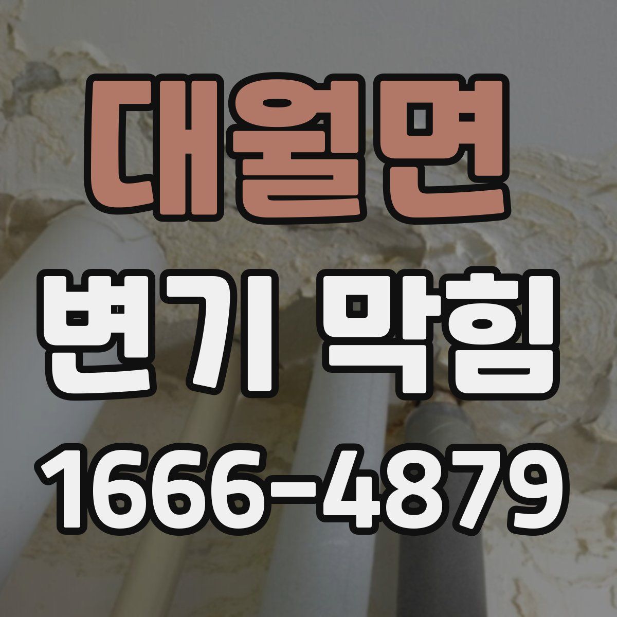 대월면 변기 막힘