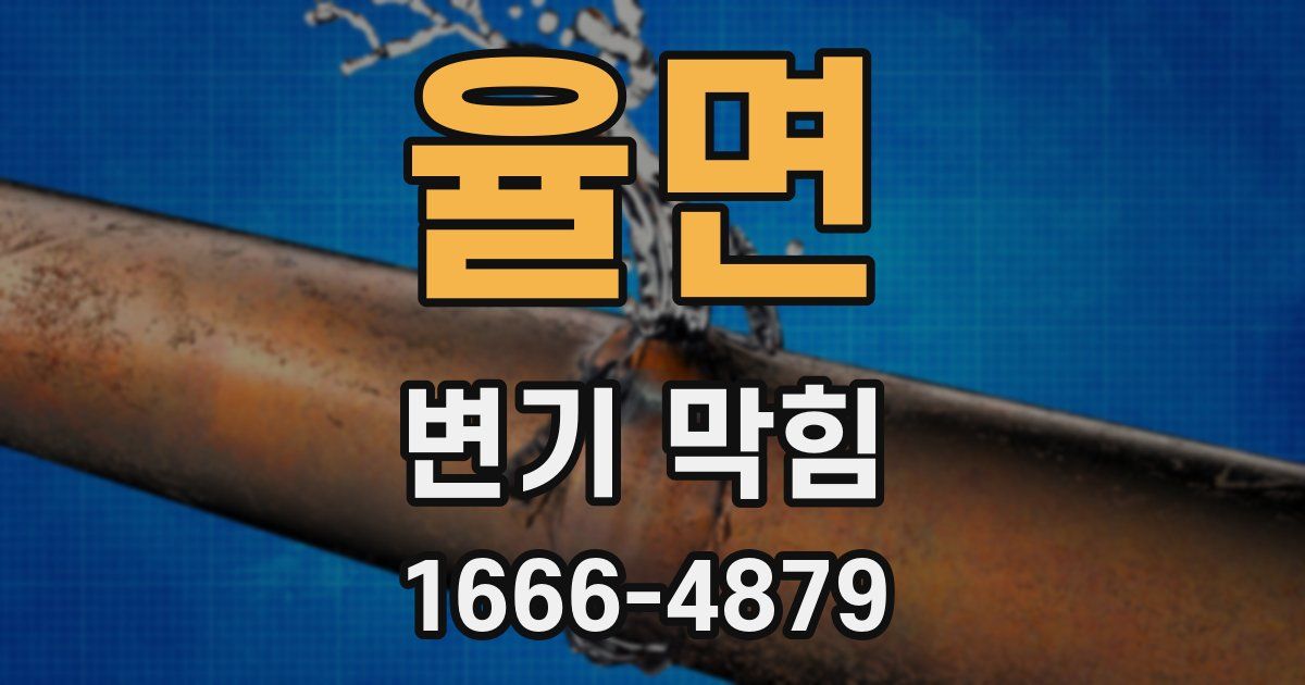 율면 변기 막힘