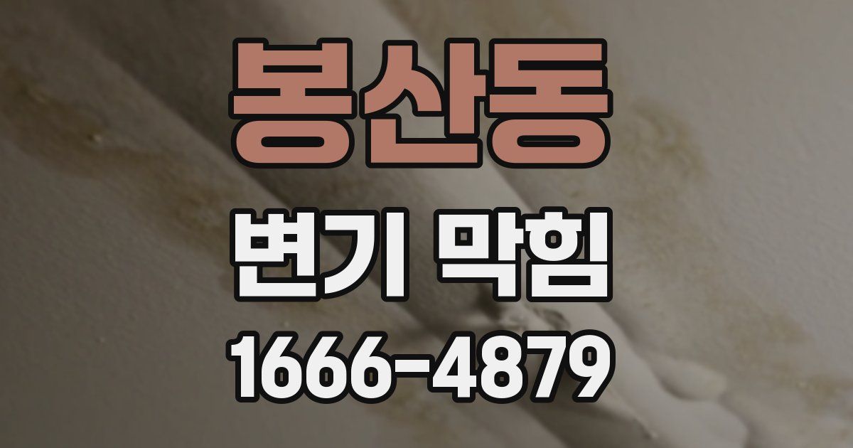 봉산동 변기 막힘