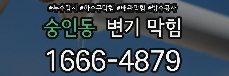 숭인동 변기 막힘