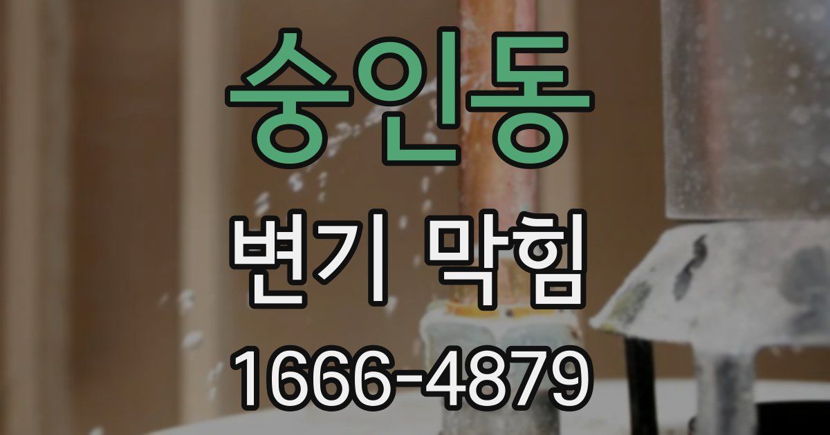 숭인동 변기 막힘
