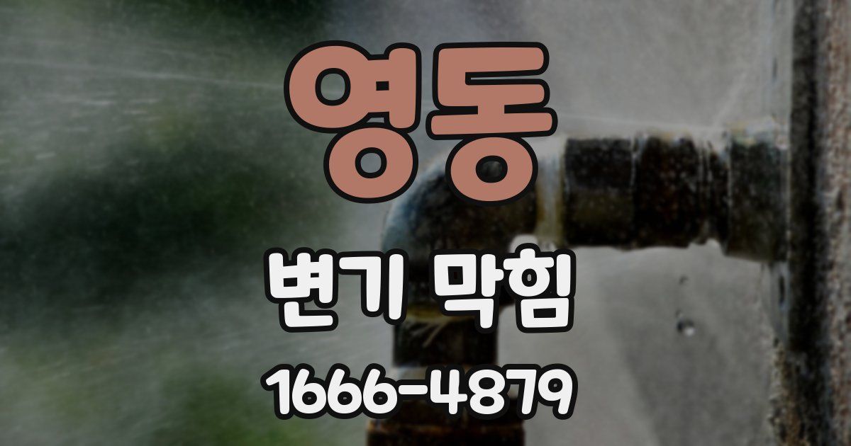 영동 변기 막힘