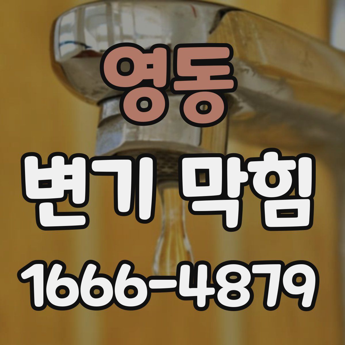 영동 변기 막힘