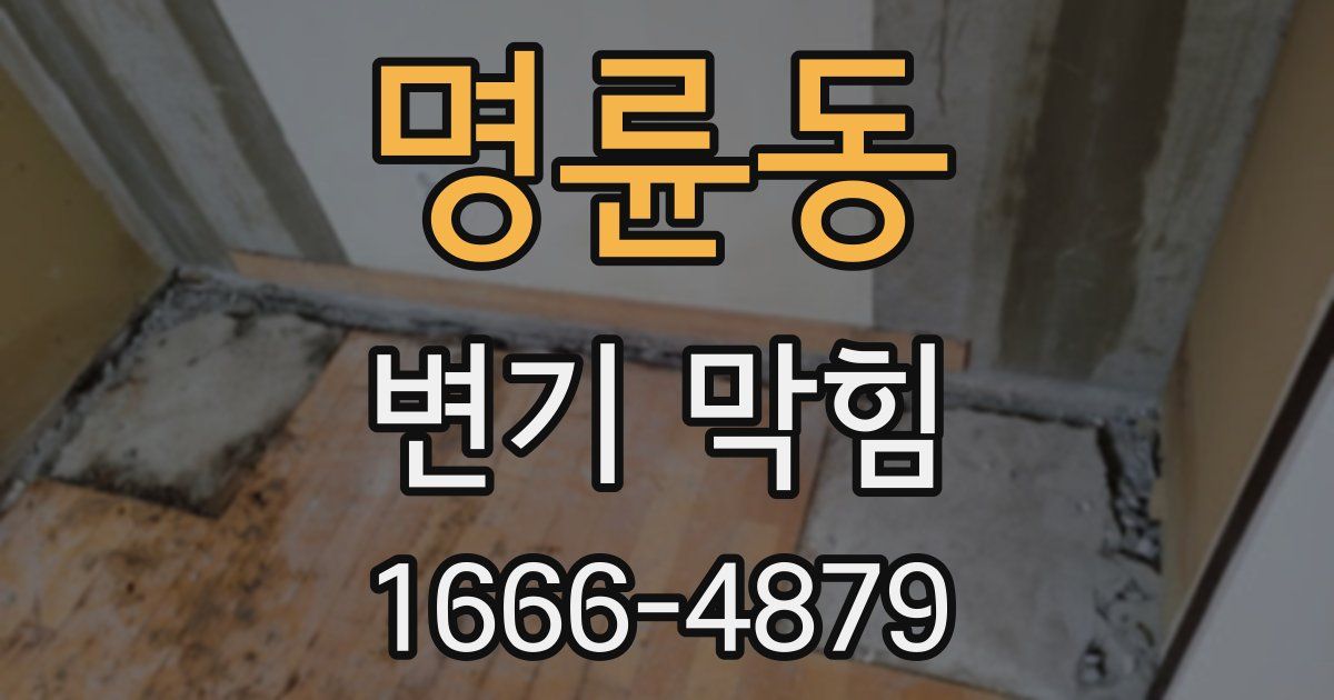 명륜동 변기 막힘