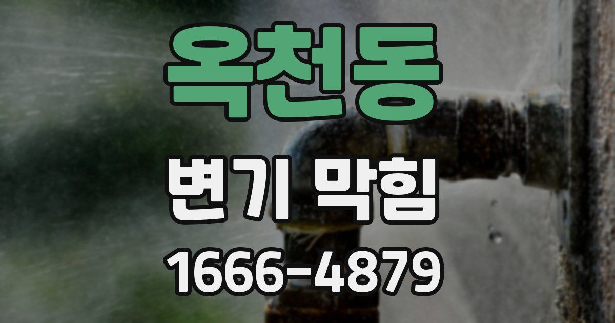 옥천동 변기 막힘