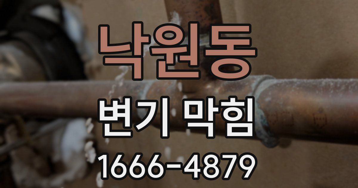 낙원동 변기 막힘