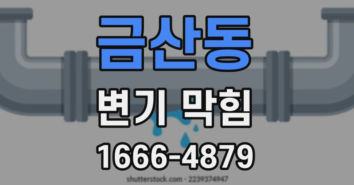 금산동 변기 막힘