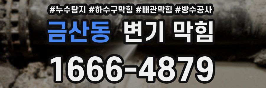 금산동 변기 막힘
