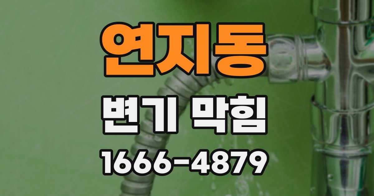 연지동 변기 막힘