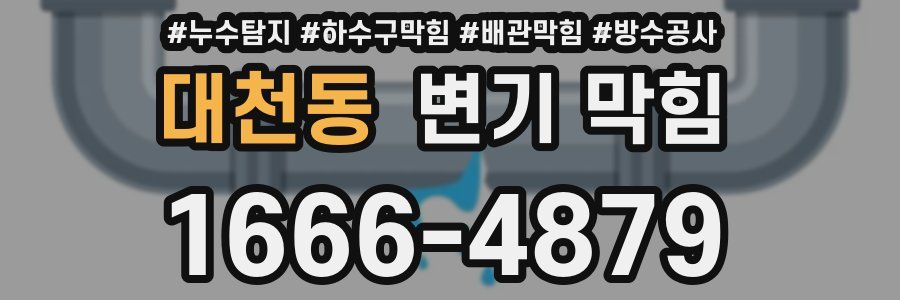 대천동 변기 막힘