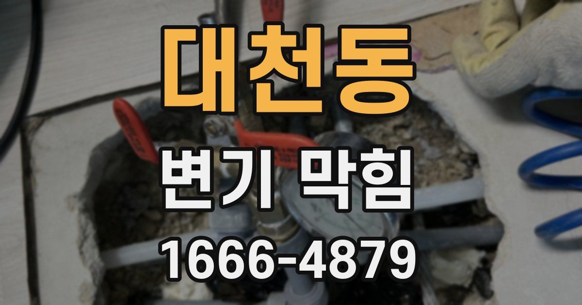 대천동 변기 막힘