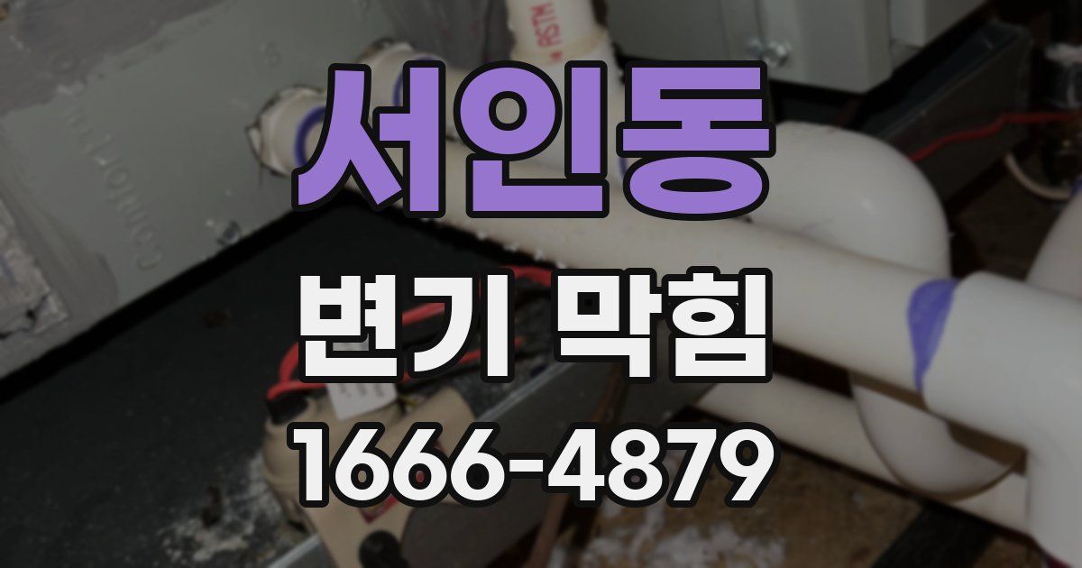 서인동 변기 막힘