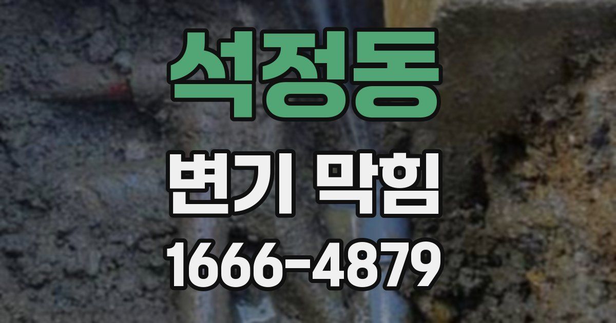 석정동 변기 막힘