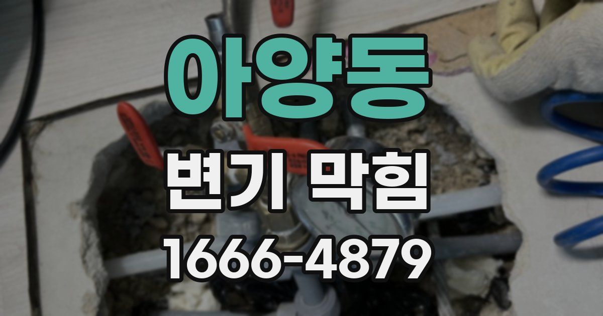 아양동 변기 막힘