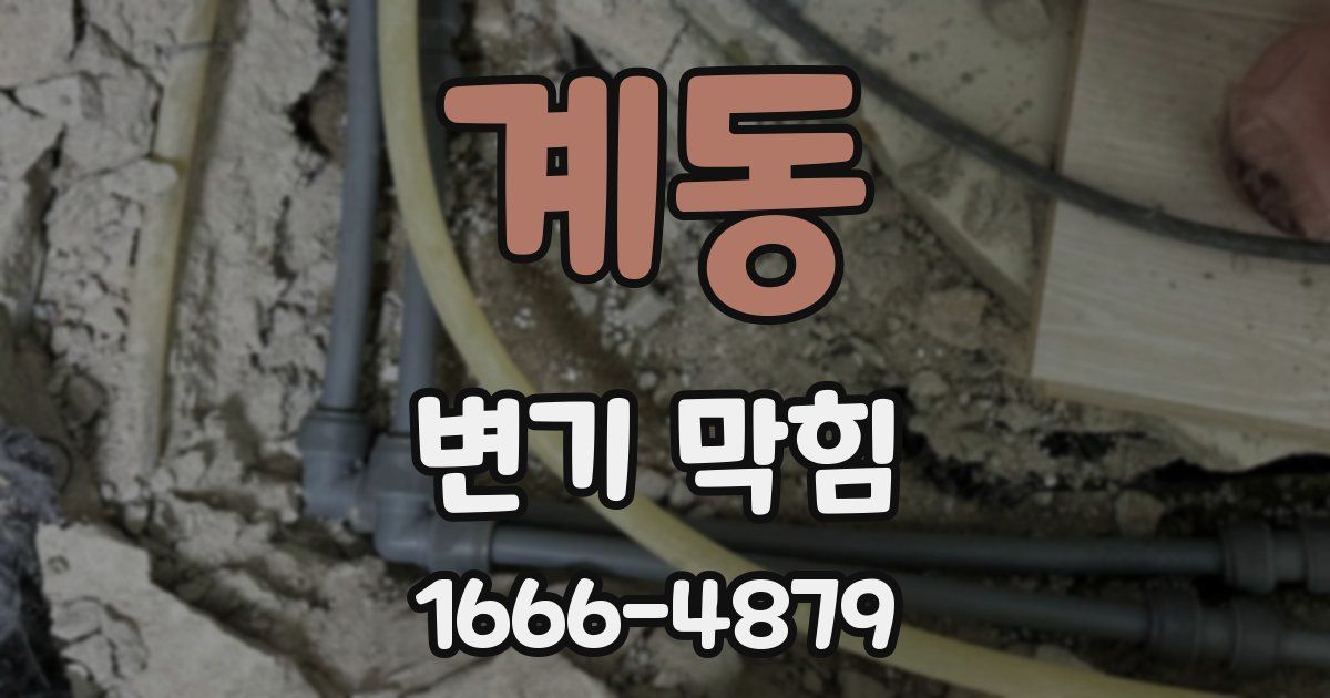 계동 변기 막힘