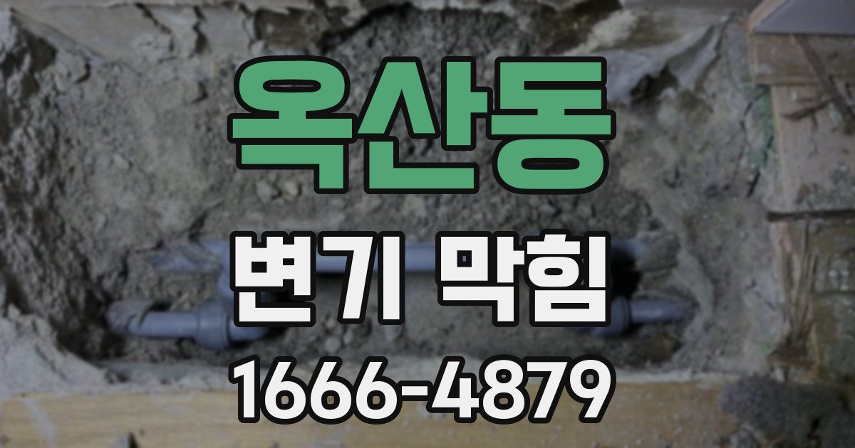 옥산동 변기 막힘