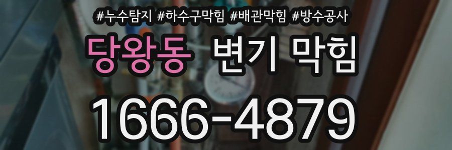당왕동 변기 막힘