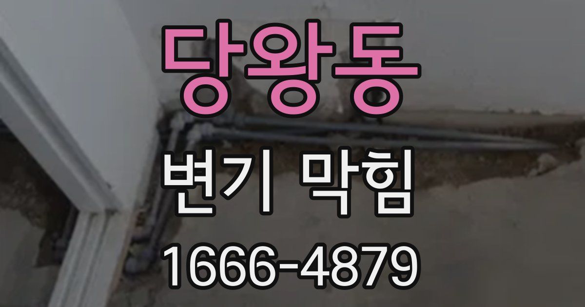 당왕동 변기 막힘