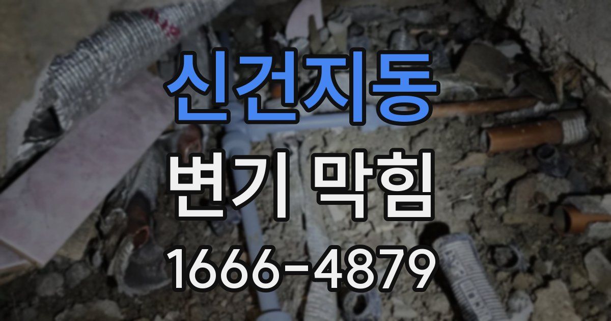 신건지동 변기 막힘