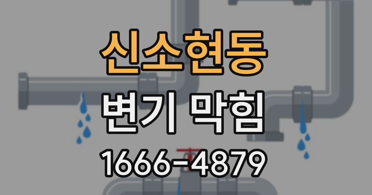 신소현동 변기 막힘