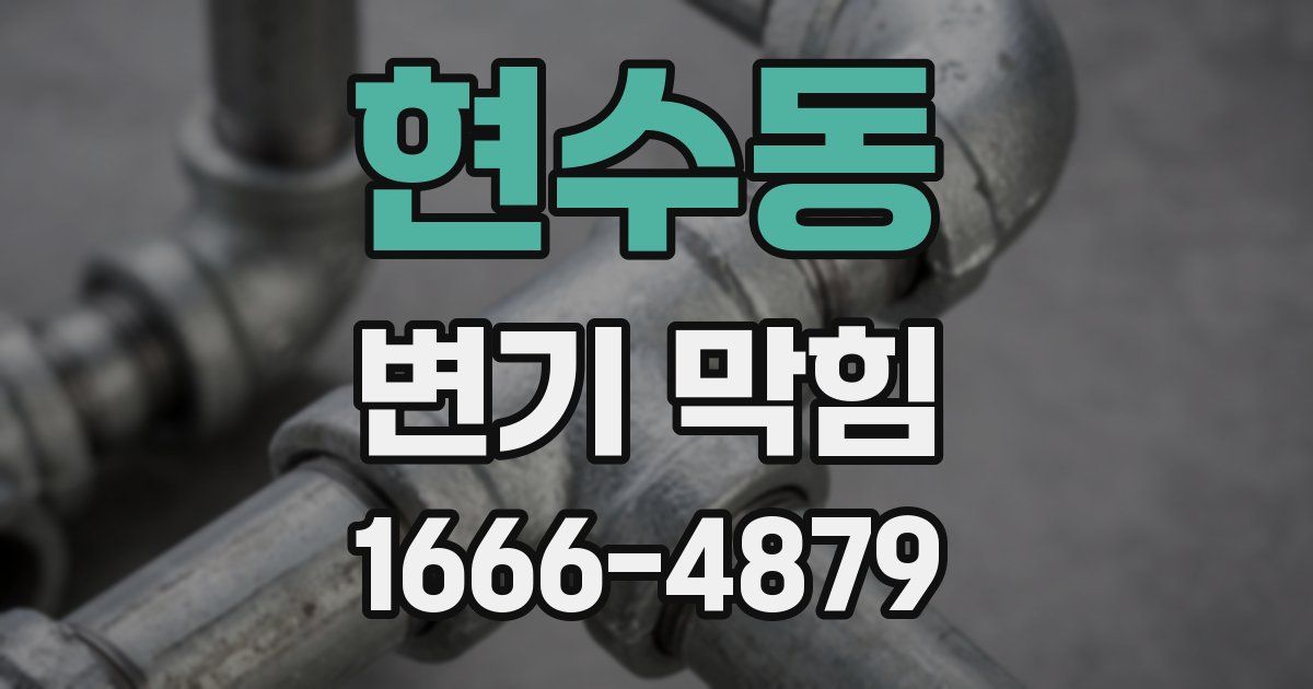 현수동 변기 막힘