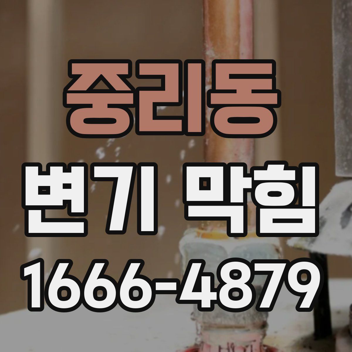 중리동 변기 막힘
